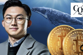 Crypto Quant CEO'su, Bitcoin balinalarının stratejisini paylaştı!