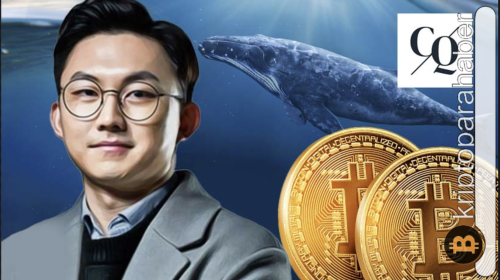 CryptoQuant CEO’su, Bitcoin balinalarının stratejisini paylaştı!