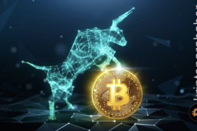 Popüler analist, Bitcoin boğa koşusu için potansiyel fırsatları değerlendirdi!