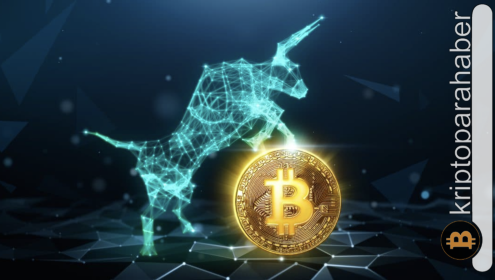 Popüler analist, Bitcoin boğa koşusu için potansiyel fırsatları değerlendirdi!