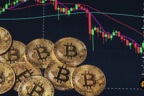 Piyasanın popüler analisti 3 temel gösterge paylaştı! Bu göstergelerdeki kırılım altcoin rallisini tetikleyebilir!