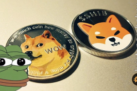 Pepe coin yeniden diğer meme coin'leri geride bırakıyor!