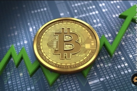 Bitcoin boğa koşusunu başlatabilecek katalizör nedir? İşte yanıtı