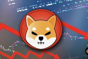 Shiba Inu fiyatındaki bu gösterge endişe yaratıyor!