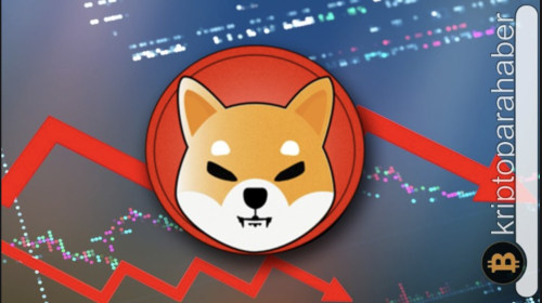 Shiba Inu fiyatındaki bu gösterge endişe yaratıyor!