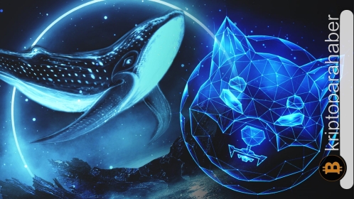 Shiba Inu balinaları tetikte bekliyor: Yılın en düşük seviyesinden erken bir toparlanma gelebilir mi?