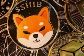 Kripto pazarını geride bıraktı: Shiba Inu yükselişini sürdürüyor!