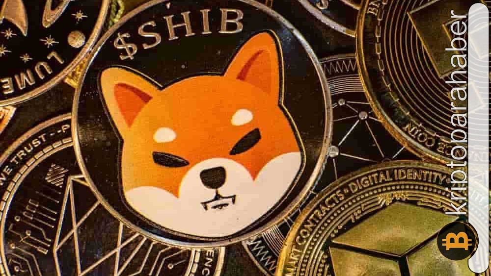 Kripto pazarını geride bıraktı: Shiba Inu yükselişini sürdürüyor!