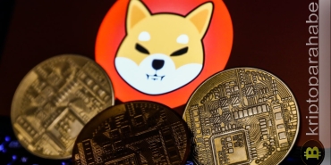 Shiba Inu