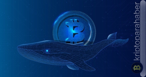 Bitcoin balinası ‘Hodling’ BTC fiyatının toparlanması için umut veriyor: BTC fiyatı yeniden yükselecek mi?