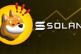 BONK yükselecek mi? solana altcoini, solana köpek coin, solana coin, solana bonk