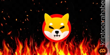 Shiba