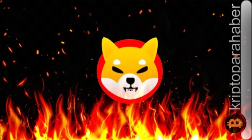 Shiba Inu’nun yanma oranı düştükçe endişeler artıyor: Yatırımcı ne yapmalı?