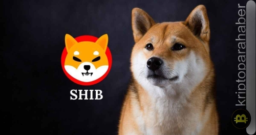 Shiba Inu yatırımcılarının yüzde 90’ı zarar pozisyonunda: SHIB fiyatı kritik bir yol ayrımında mi?