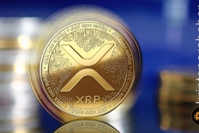 Kripto avukatı Bill Morgan, Bitcoin maksimalistini eleştirdi: XRP'yi yok edeceğini iddia etti!