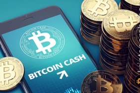 Bitcoin Cash muhteşem yükselişiyle diğer altcoin'leri geride bırakıyor! İşte yükselişin nedeni