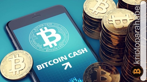 Bitcoin Cash muhteşem yükselişiyle diğer altcoin’leri geride bırakıyor! İşte yükselişin nedeni