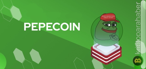 Yeni PEPE coin, BNB zincirinde piyasaya sürülecek: İşte PEPE(BEP20) hakkındaki detaylar!