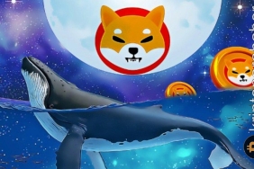 Kripto balinalarından dikkat çeken SHIB hareketliliği! Sebebi ne?