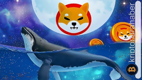 Kripto balinalarından dikkat çeken Shiba hareketliliği! Sebebi ne?