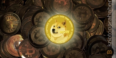 Doge