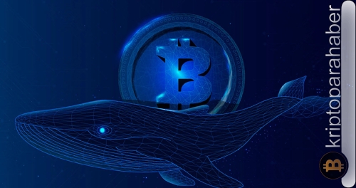 Bitcoin analizi: BTC yüzde 4,13 artarken yeni bir Bitcoin balinası mı ortaya çıktı?