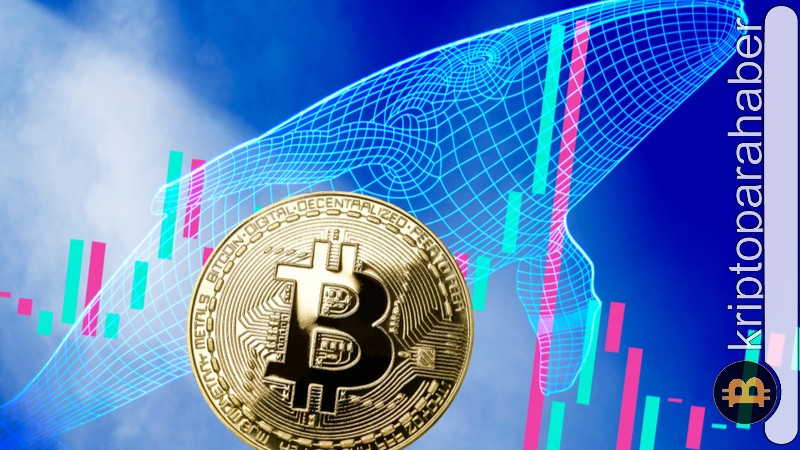 Kripto balinaları harekete geçti: 275 milyon dolarlık Bitcoin taşıdılar!
