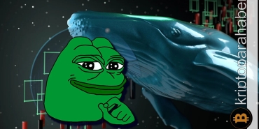 PEPE balinası hareketlendi! İşte dikkat çeken işlem