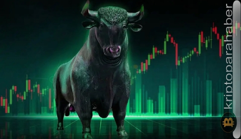 Ünlü analist M. van de Poppe açıklıyor: Bir sonraki boğa koşusunun kazananı bu 2 altcoin olabilir!