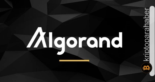 Algorand piyasa değeri hesaplamalarındaki tutarsızlık kafaları karıştırdı! İşte, sebebi…