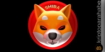 Shıba Inu