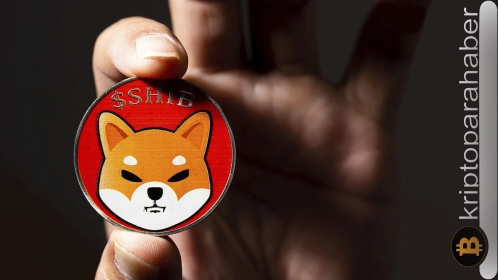 Shiba Inu piyasa değeri 500 milyon dolara tırmandı: Ufukta bir ralli mi var?
