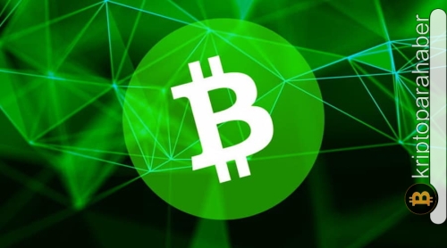 Balinalardan büyük ilgi: Bitcoin Cash (BCH) fiyatı Ağustos ayına olumlu başlayabilir!