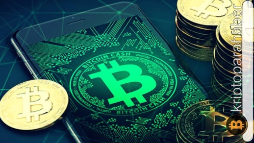 BCH’nin fiyatı yükselişten geri çekildi! 300 dolar seviyesini geri kazanmak mümkün mü?