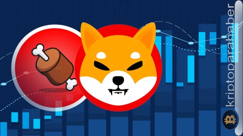 Shibarium’un yeni sürümü, BONE fiyatını yüzde 35 arttırdı: ShibaSwap (BONE) yükselişini sürdürebilecek mi?