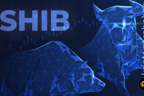 Shiba Inu'da boğalar ve ayılar arasındaki mücadele devam ediyor! Bir sıfır silinebilir