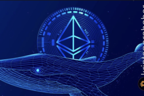 Ethereum balinası 8 yıl sonra uyandı! 116 milyon dolar hareket etti