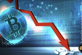 Kripto piyasası dalgalanıyor: Bitcoin uzun süre sonra 29.000 doların altına düştü!