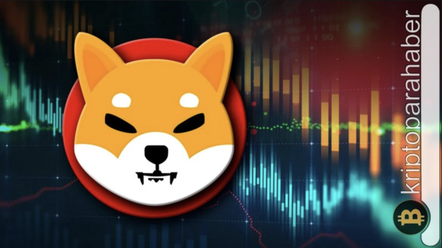 Shiba Inu (SHIB) token yanma oranı şaşırtıcı bir hızla artıyor!