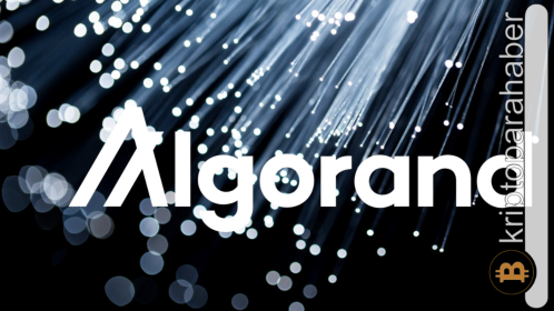 Algorand fiyatı kritik destek seviyesinde: Yükseliş mi yoksa düşüş mü gelecek?