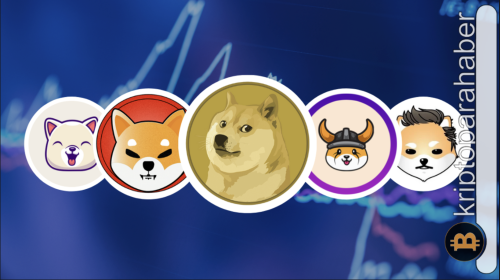 Santiment verileri meme coin popülaritesine dikkat çekti!