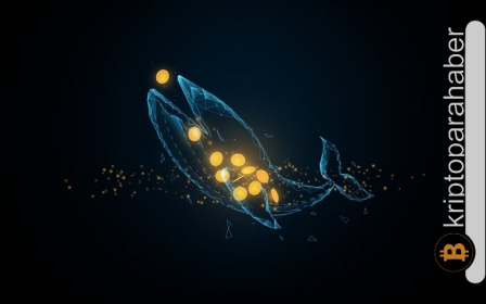 LINK balinalarının birikime devam etmesi fiyatı yükseltti! İşte sıradaki fiyat hedefi…