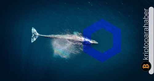 LINK balinalarından satın alma çılgınlığı: Büyük hareketin arkasındaki sebep ne?