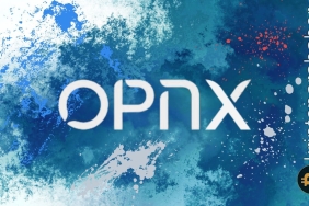 Open Exchange'in OX token'ı yükselişte: İlk 100'e girme potansiyeli var mı?