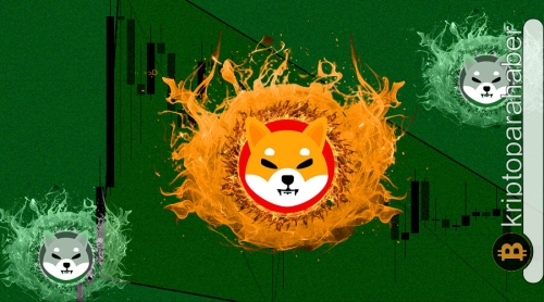 Shiba Inu ekibi açıkladı: “Büyük yakım işlemlere rağmen neden fiyat artmıyor?”