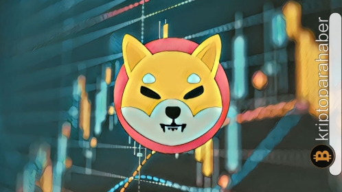 Shiba Inu (SHIB), kripto piyasasındaki düşüşe rağmen artmaya devam ediyor! İşte, sıradaki hedefi…