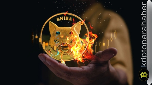 Shiba Inu haberleri: SHIB hızlı yükselişiyle global firmaları gölgede bırakıyor!