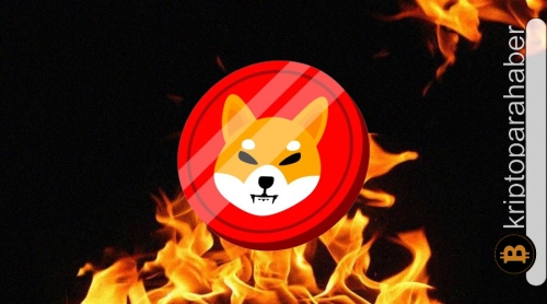 Shiba Inu için önemli gün yaklaşırken yakım işlemleri devam ediyor! İşte, son gelişmeler…