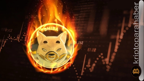 Shiba Inu yakma oranı yüzde 3000’in üzerine çıktı: Shib Whale işlemleri altcoini nasıl etkileyecek?