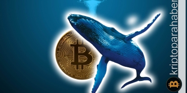 Fiyatlar sabit kalırken Bitcoin balinaları birikim çılgınlığına devam ediyor!